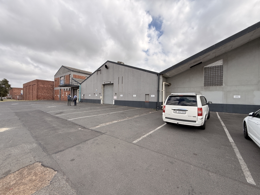 To Let commercial Property for Rent in Beaconvale Western Cape